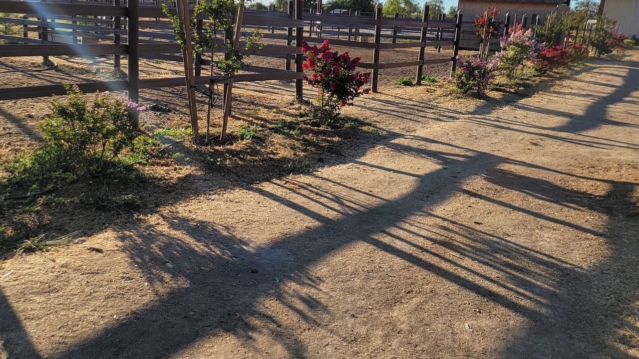 Photo of Outdoor in Rio Linda