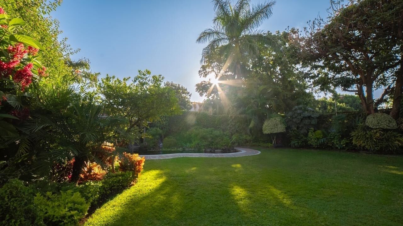 Photo of Outdoor in Cuernavaca