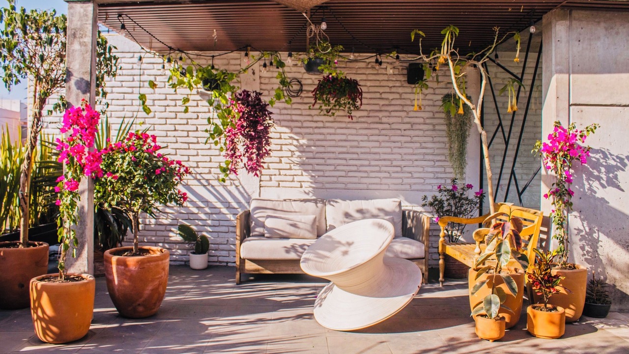 Photo of Patio Balcony in Benito Juarez