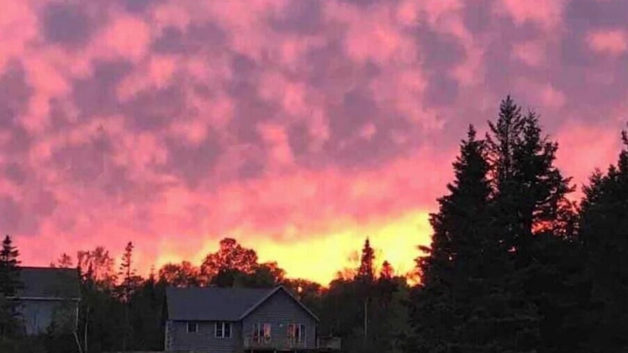 Photo of Outdoor in Jonesport