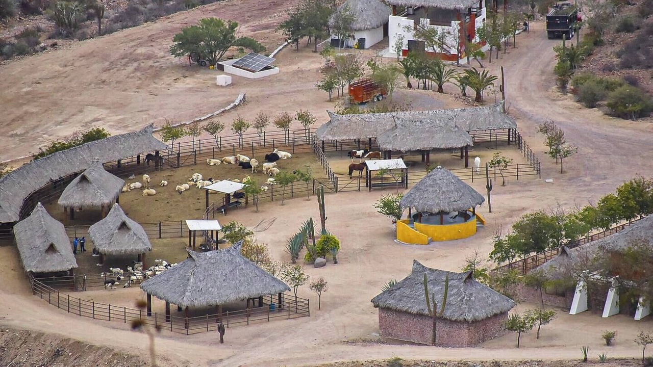 Photo of Others in Pichilingue