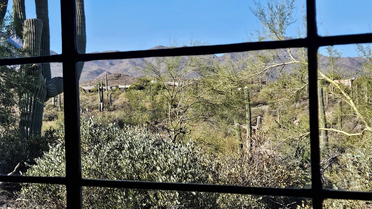 Photo of Others in Tucson