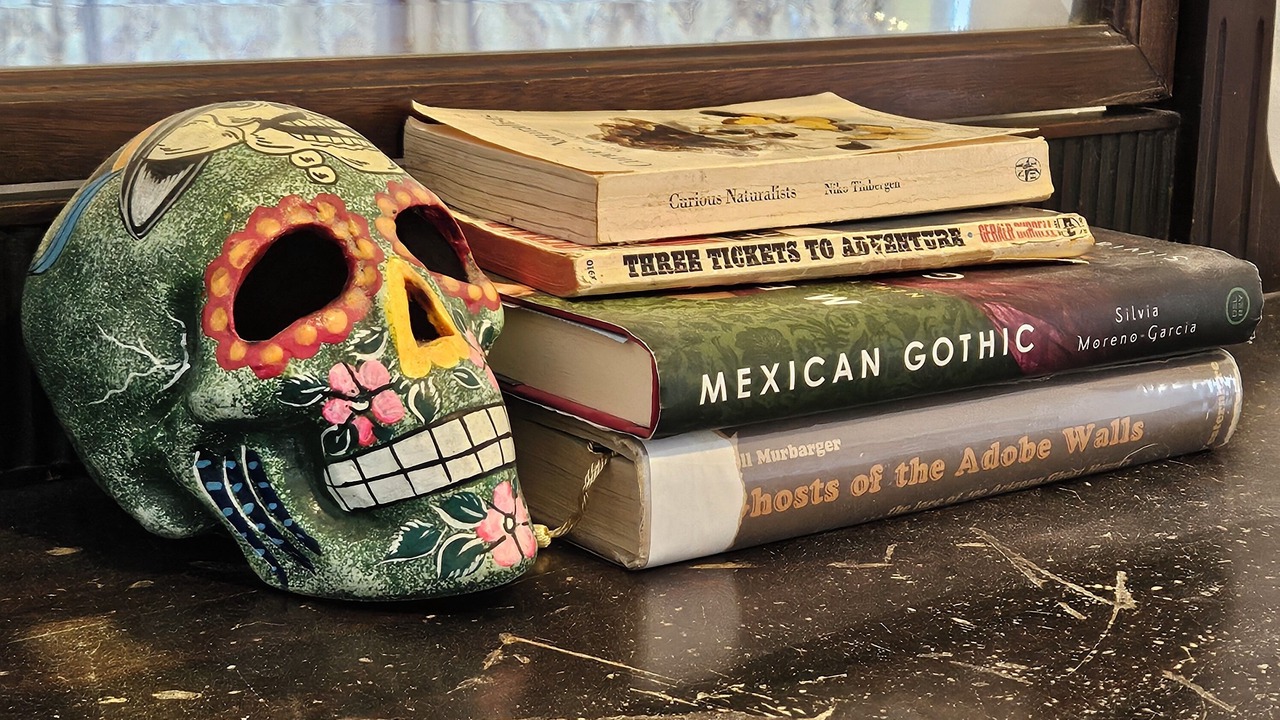 Photo of Others in Tucson