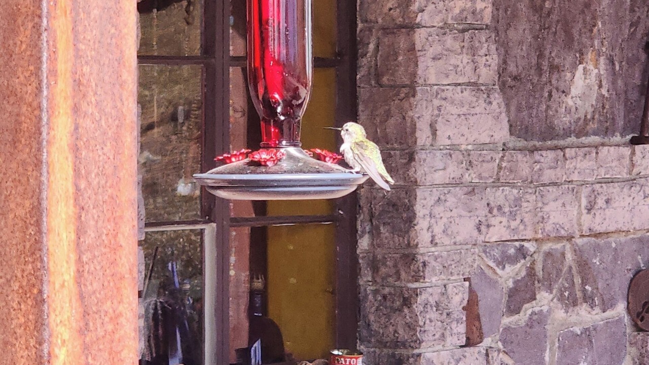 Photo of Outdoor in Tucson
