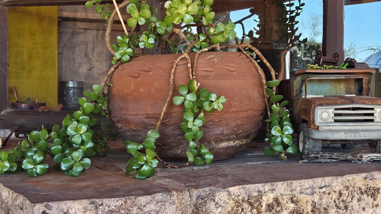 Photo of Outdoor in Tucson