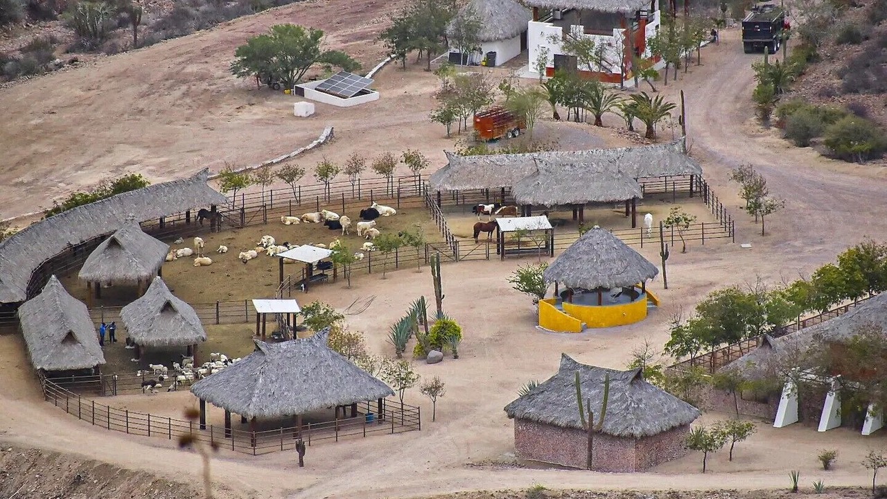 Photo of Others in Pichilingue