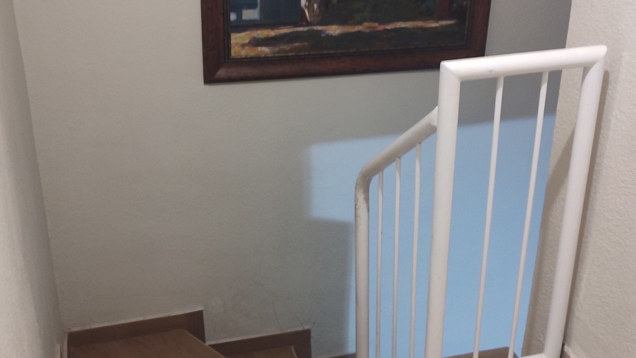 Photo of Others in Juarez Municipality