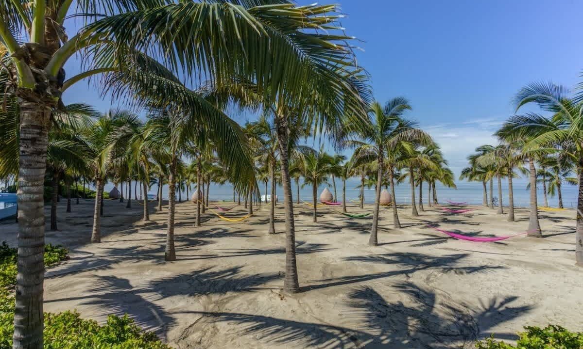 Photo of Others in Nuevo Vallarta
