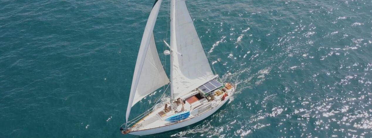 Photo of Others in Marina Vallarta