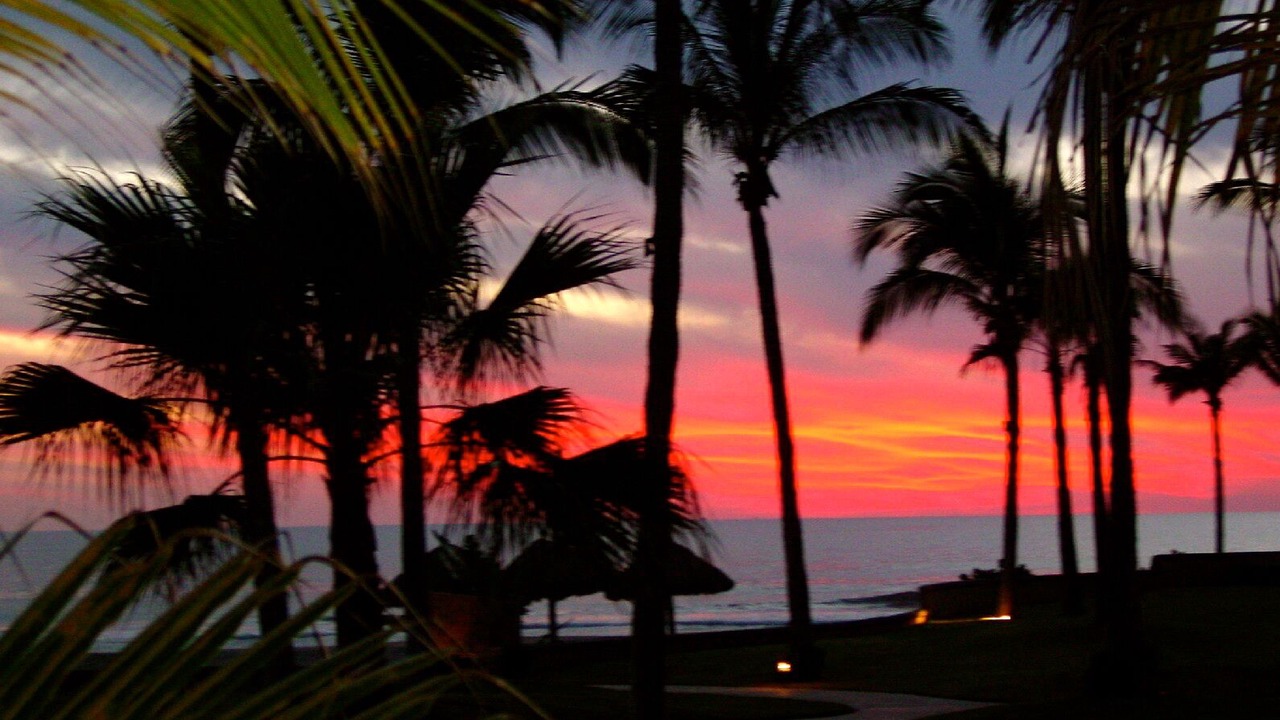 Photo of Others in Mazatlan