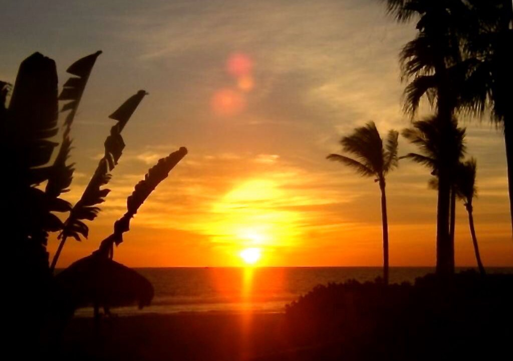 Photo of Others in Mazatlan