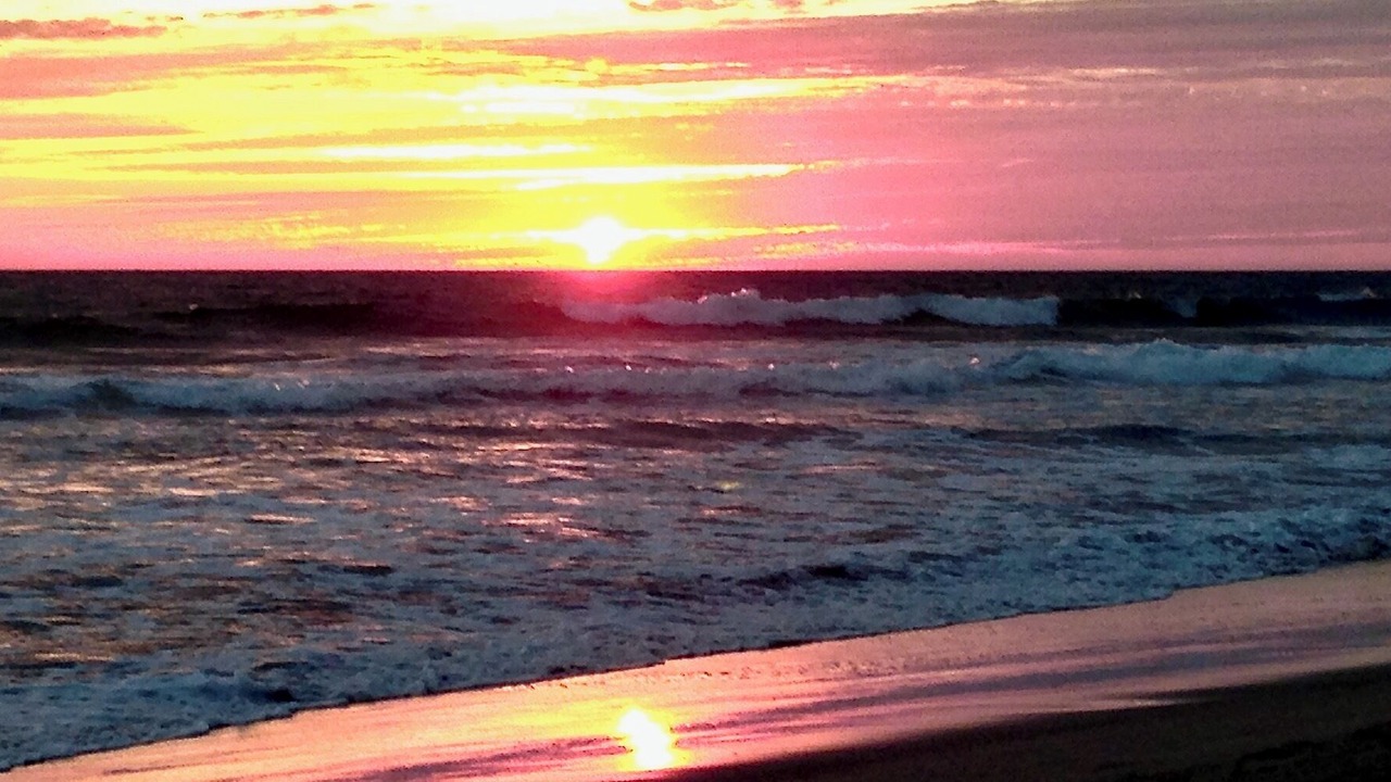 Photo of Others in Mazatlan