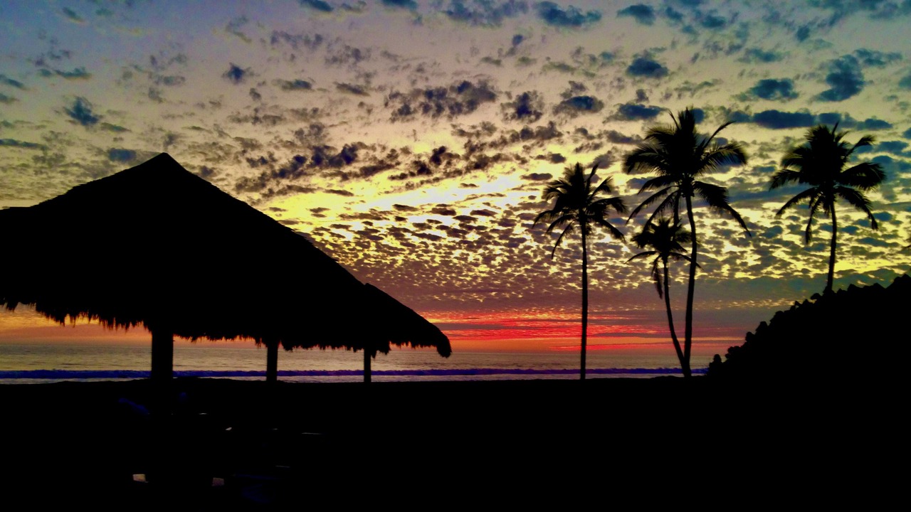 Photo of Others in Mazatlan