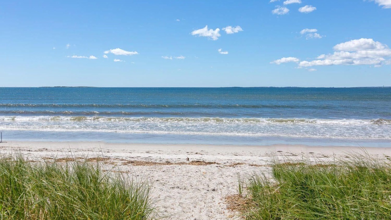 Photo of Others in Pine Point