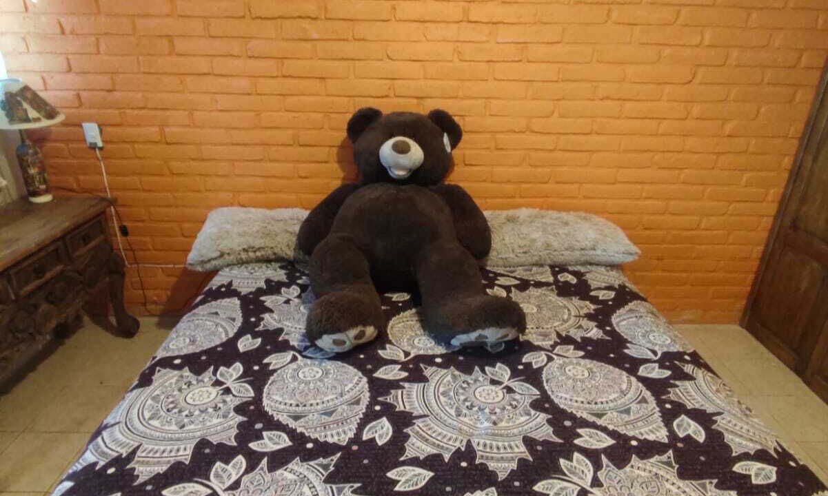 Photo of Bedroom in Tapalpa