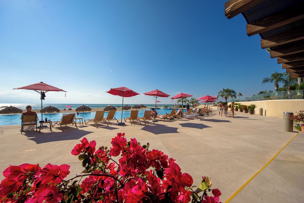 Photo of Others in Puerto Vallarta