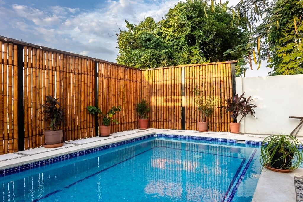 Photo of Outdoor in Playa la Madera