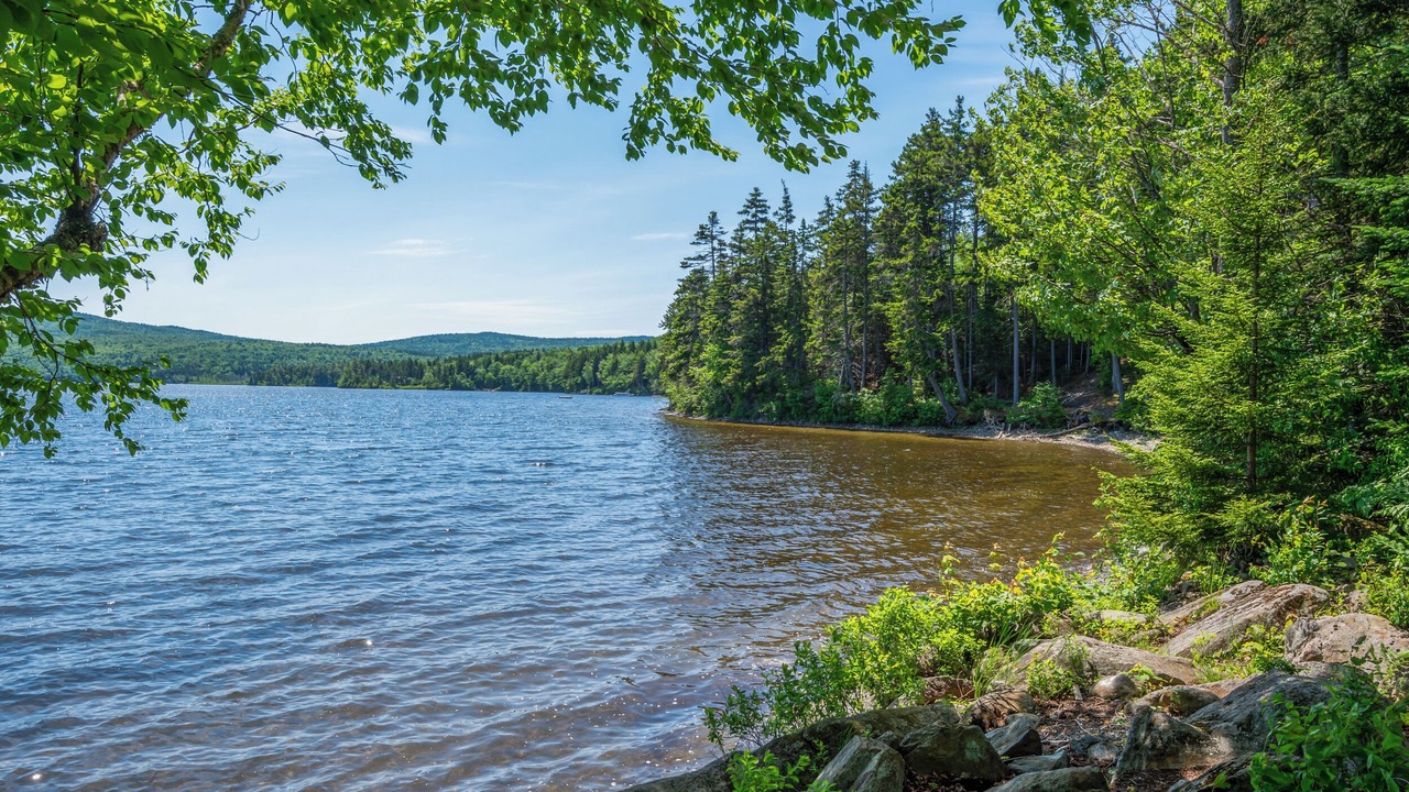 Photo of Outdoor in Rangeley