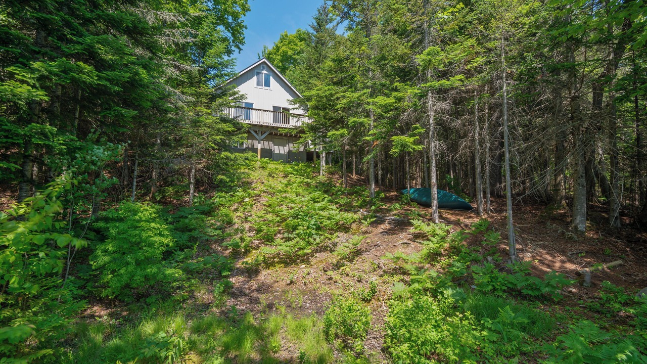 Photo of Others in Rangeley