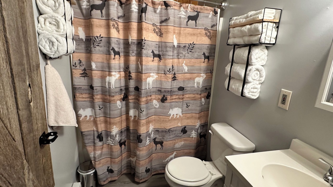 Photo of Bathroom in Buffalo Soapstone