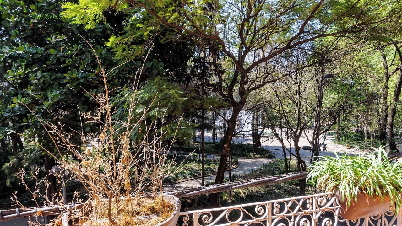 Photo of Patio Balcony in Roma Norte