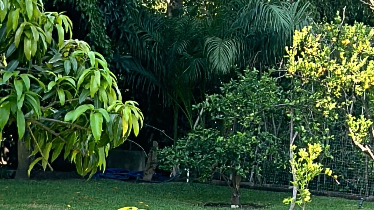 Photo of Outdoor in Yautepec