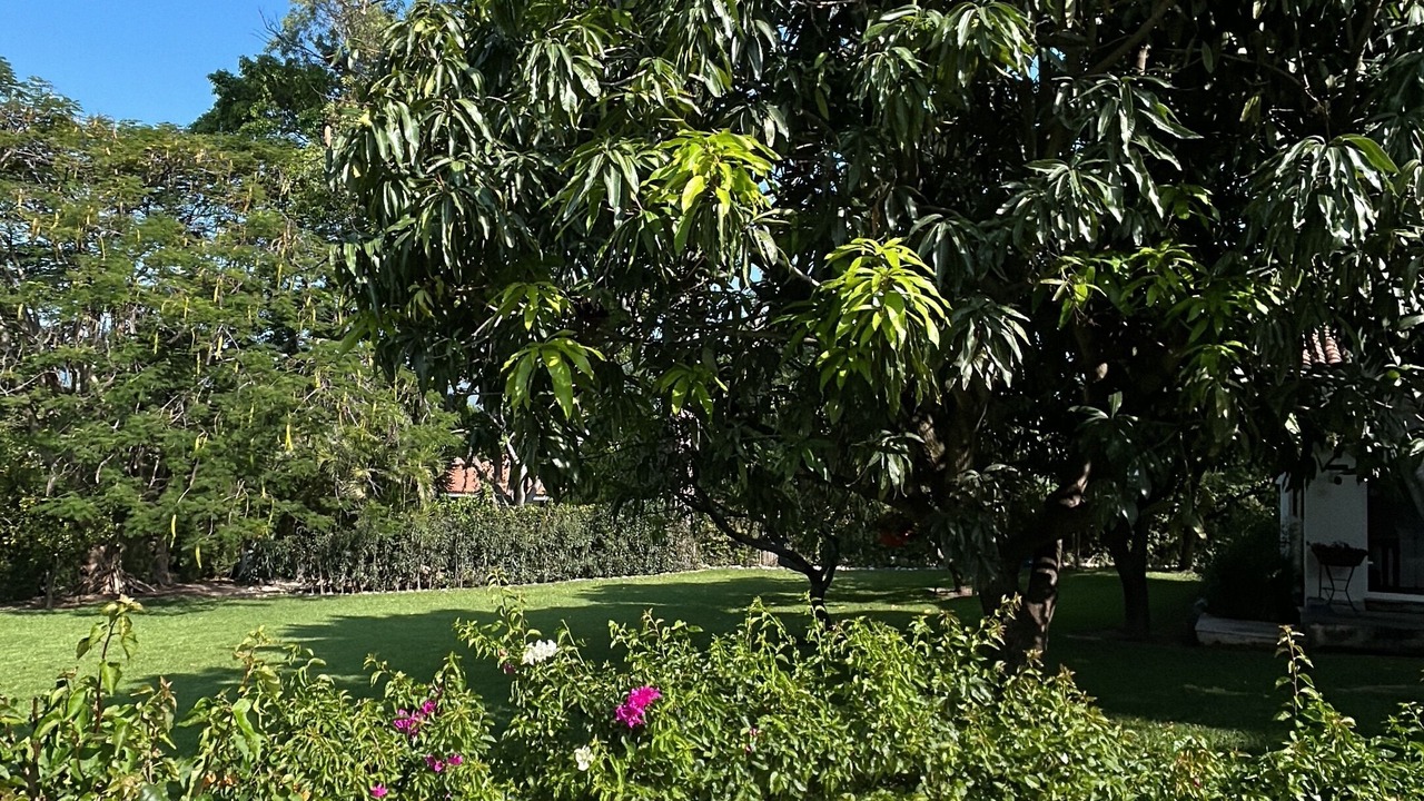 Photo of Outdoor in Yautepec