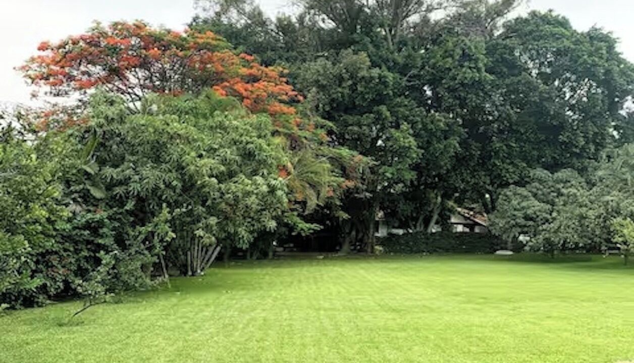 Photo of Outdoor in Yautepec