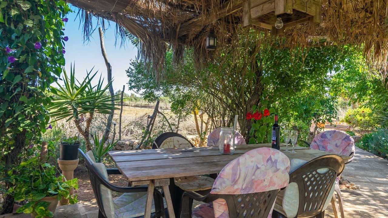 Photo of Outdoor in Campos