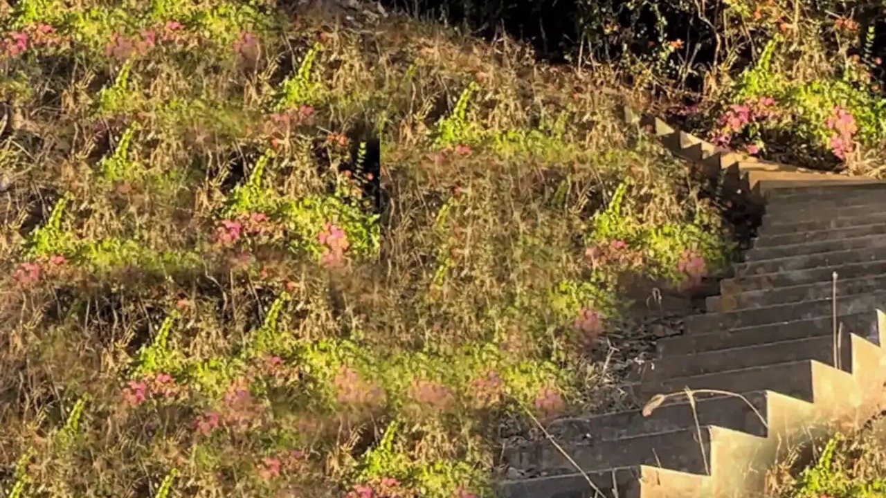 Photo of Outdoor in La Penita de Jaltemba