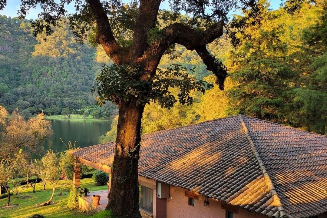 Photo of Outdoor in Mascota
