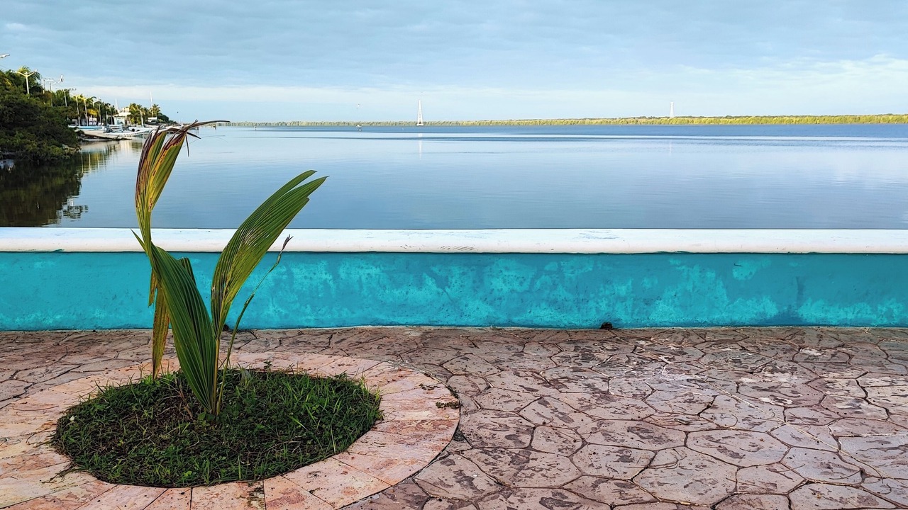 Photo of Outdoor in Sabancuy