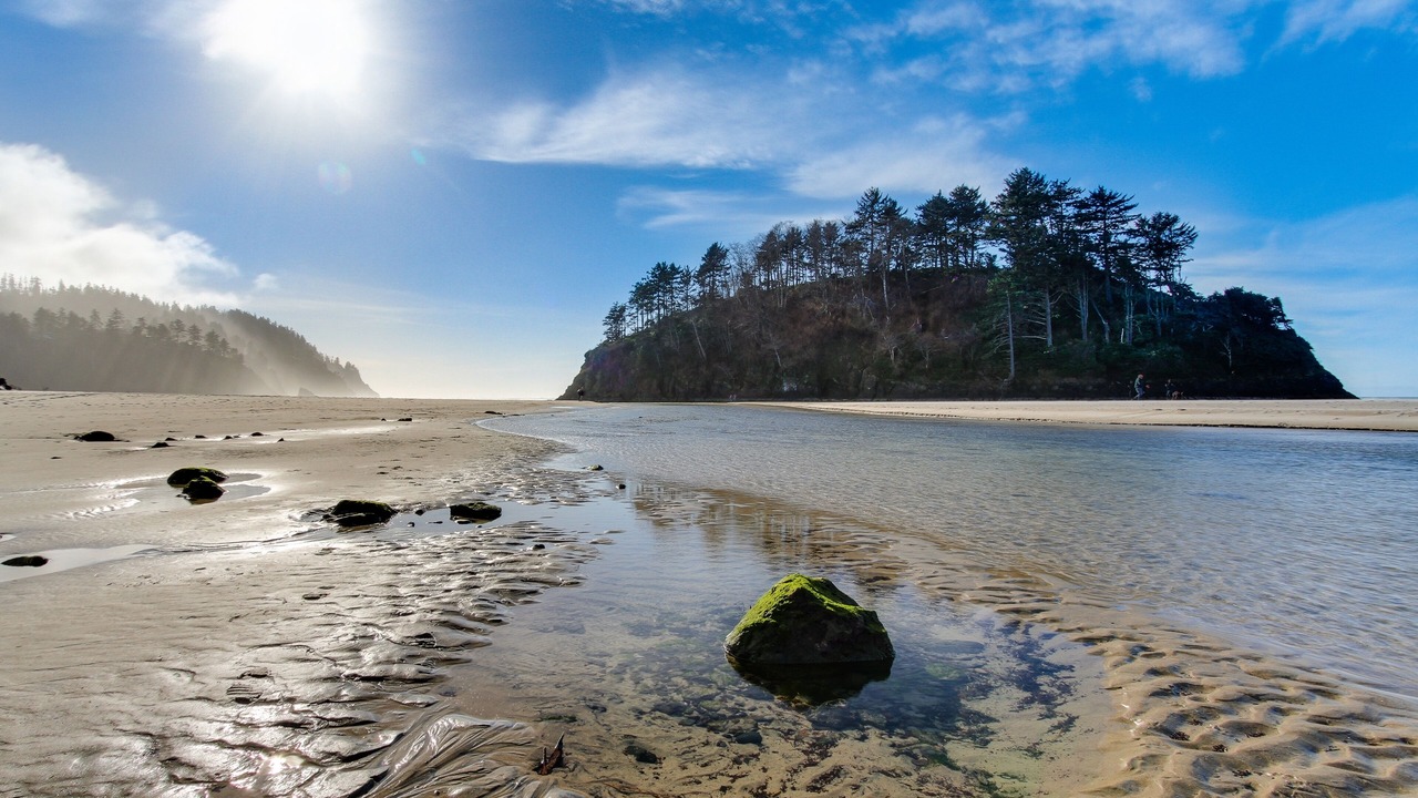 Photo of Others in Neskowin
