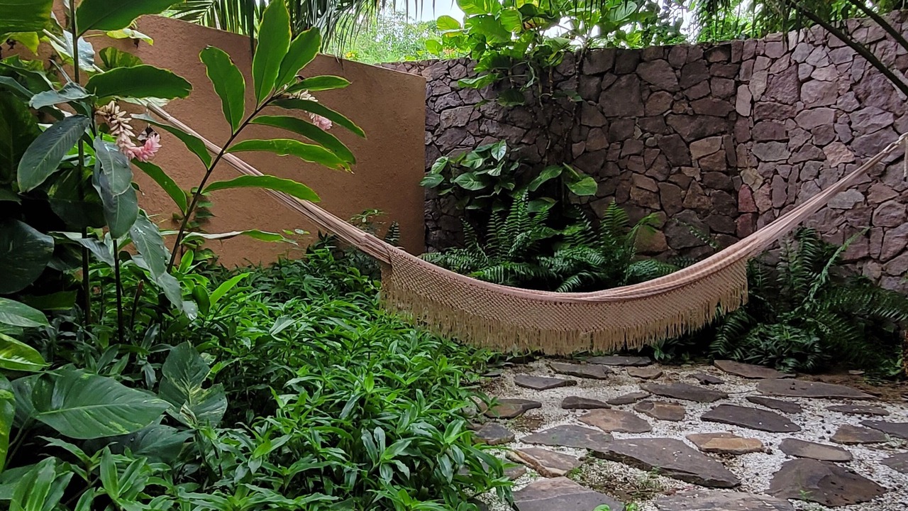 Photo of Outdoor in Costa Careyes