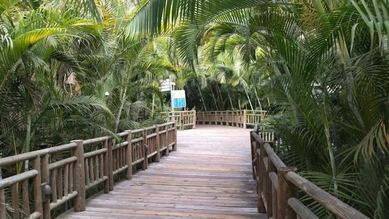 Photo of Outdoor in Las Jarretaderas