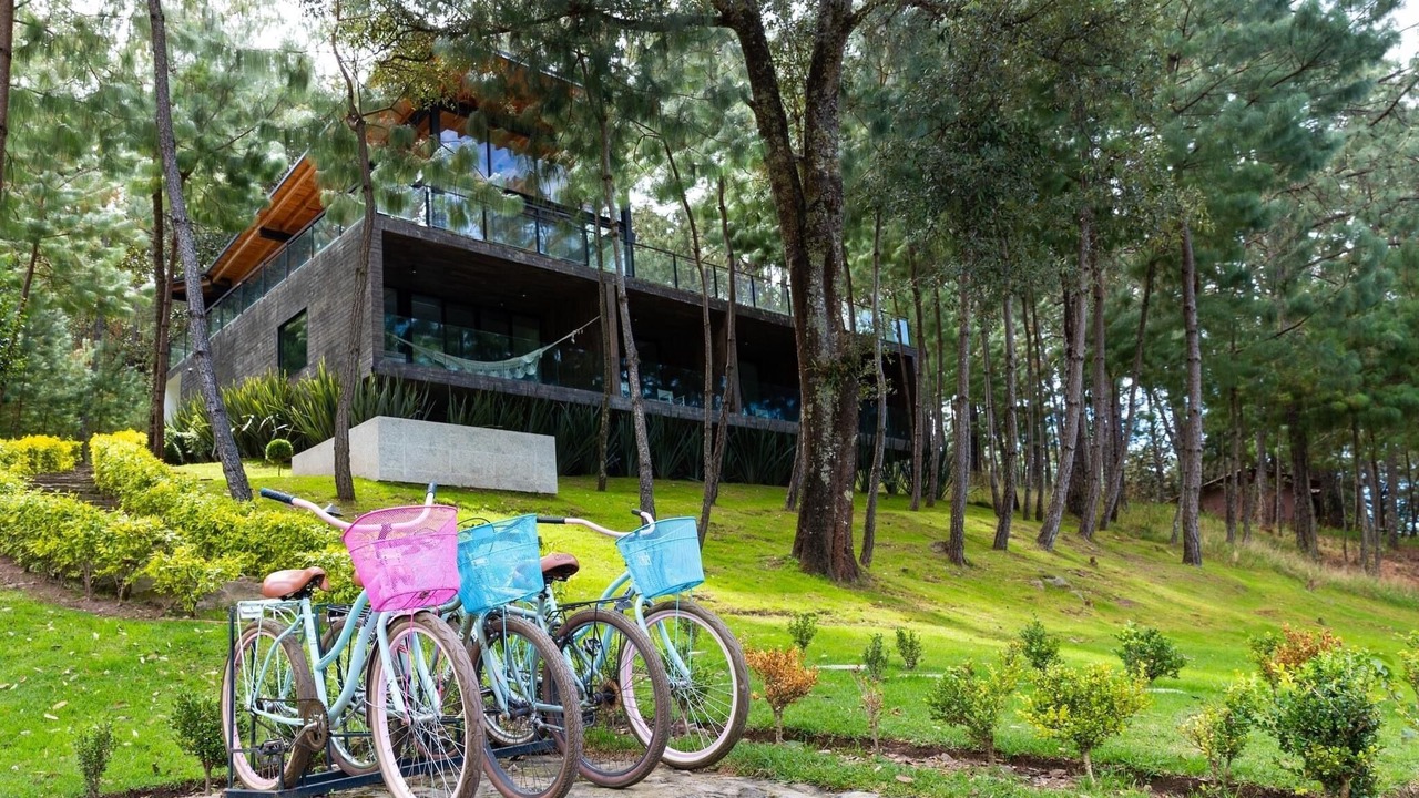 Photo of Outdoor in Mascota