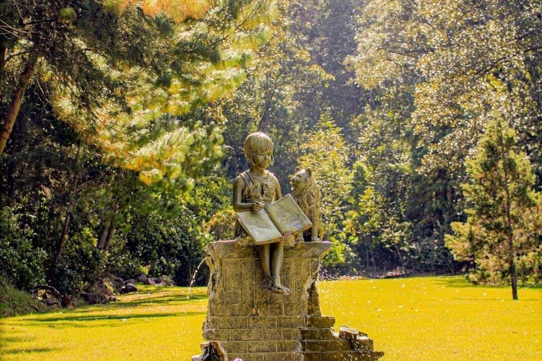 Photo of Outdoor in Mascota