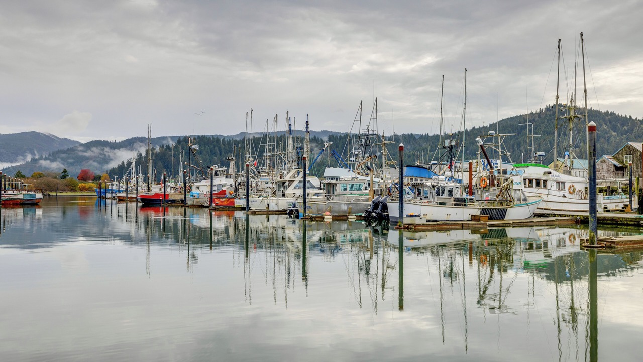 Photo of Others in Garibaldi