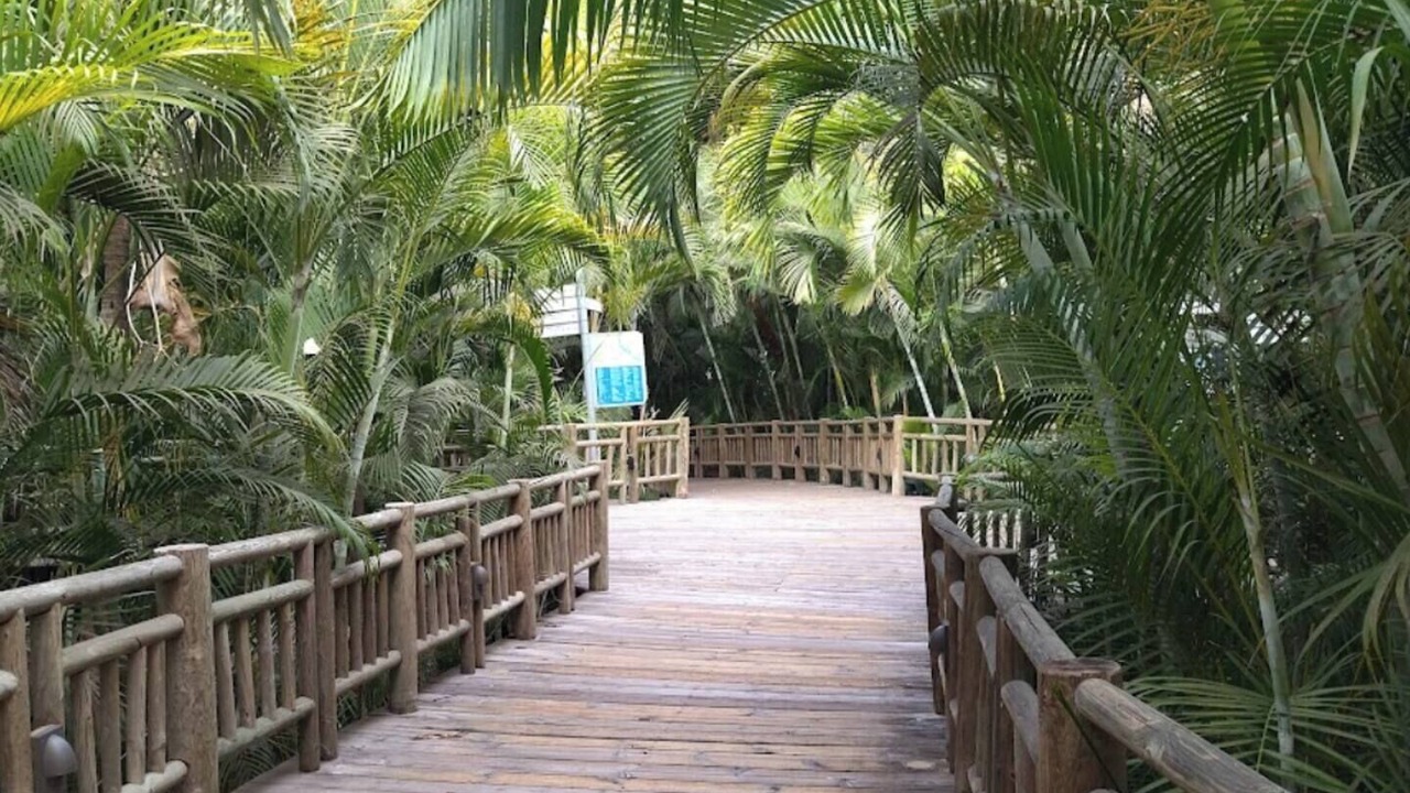 Photo of Outdoor in Isla Iguana