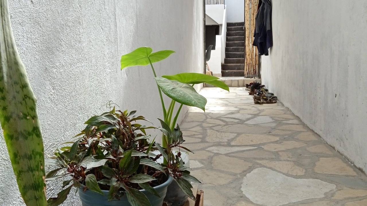 Photo of Outdoor in Zona Centro