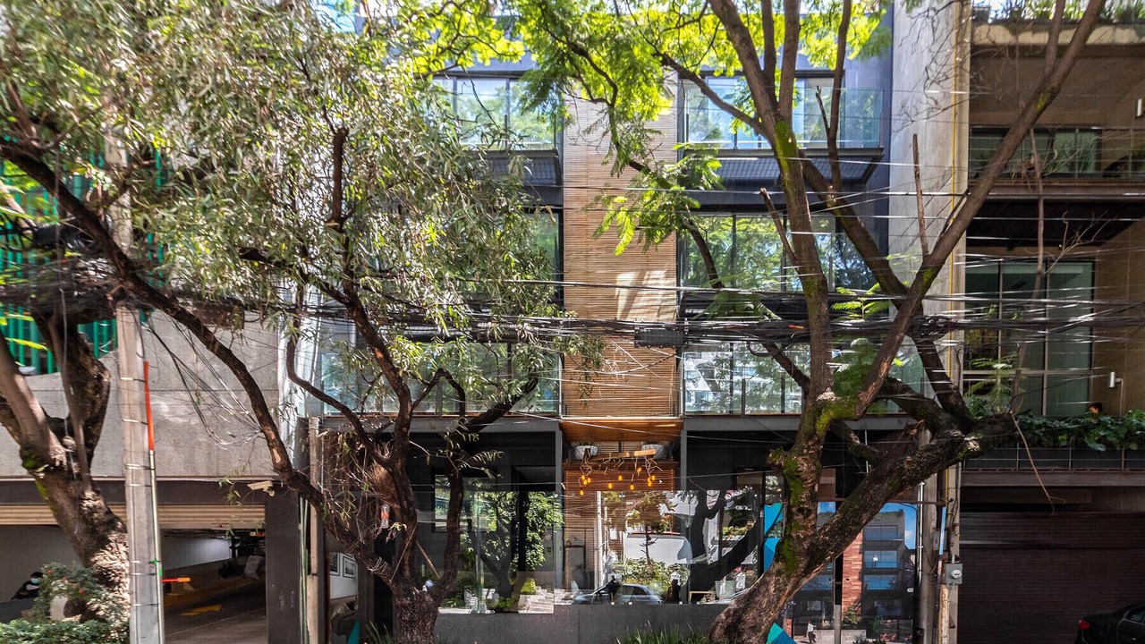 Photo of Outdoor in Polanco