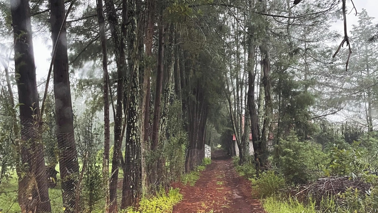 Photo of Outdoor in Huasca De Ocampo