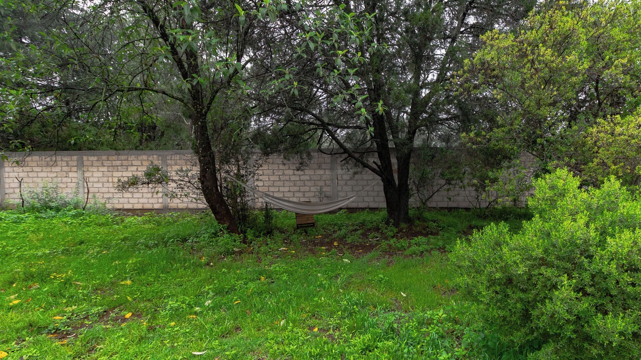 Photo of Outdoor in Huasca De Ocampo