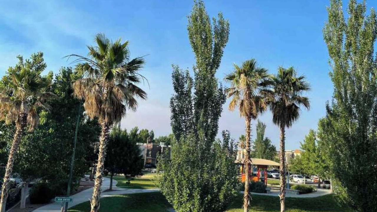 Photo of Outdoor in Juarez Municipality