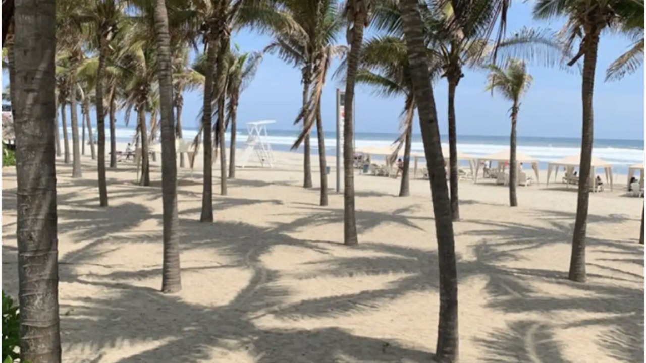 Photo of Others in Playa Diamante