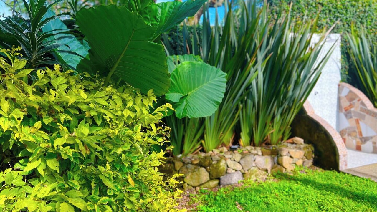 Photo of Outdoor in Xico