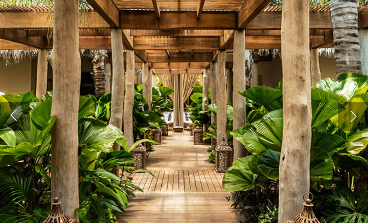 Photo of Outdoor in Mezcales