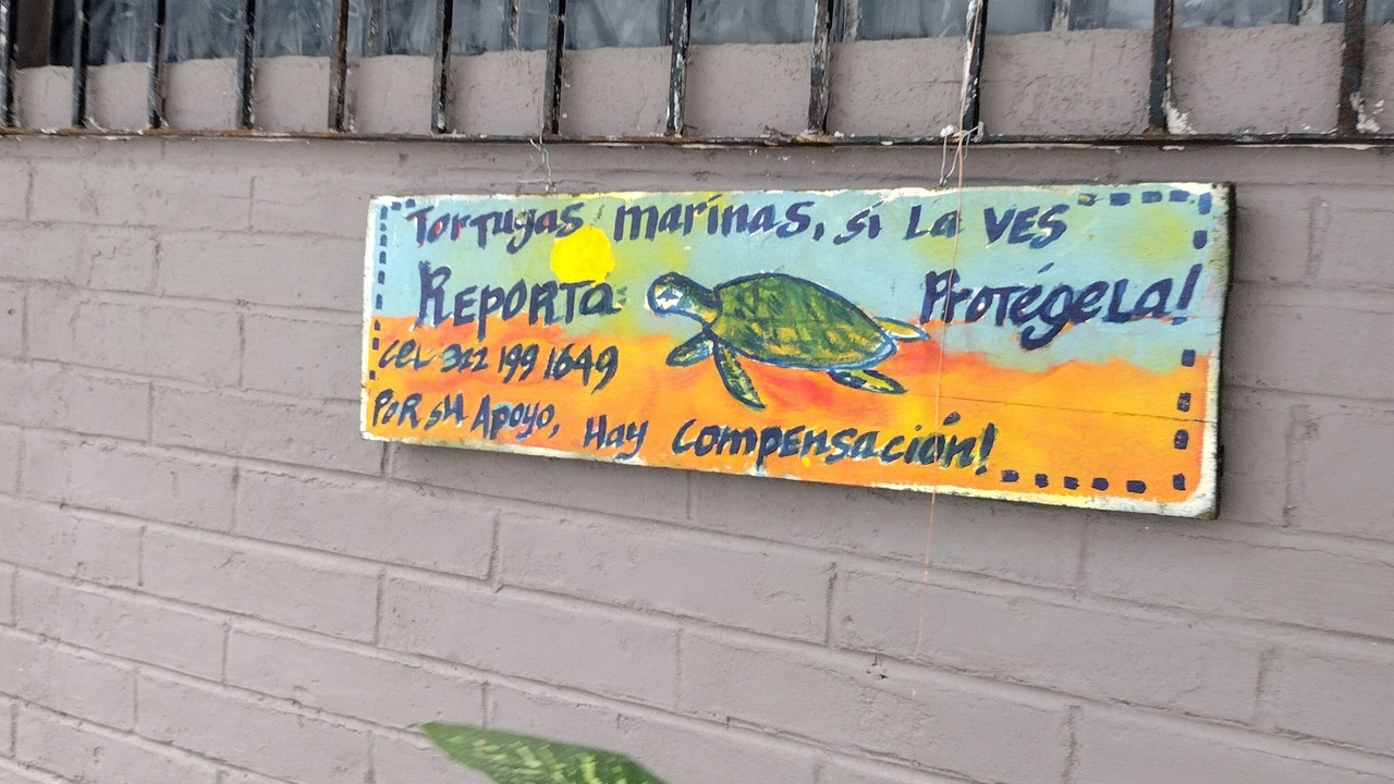 Photo of Others in Boca de Tomatlan