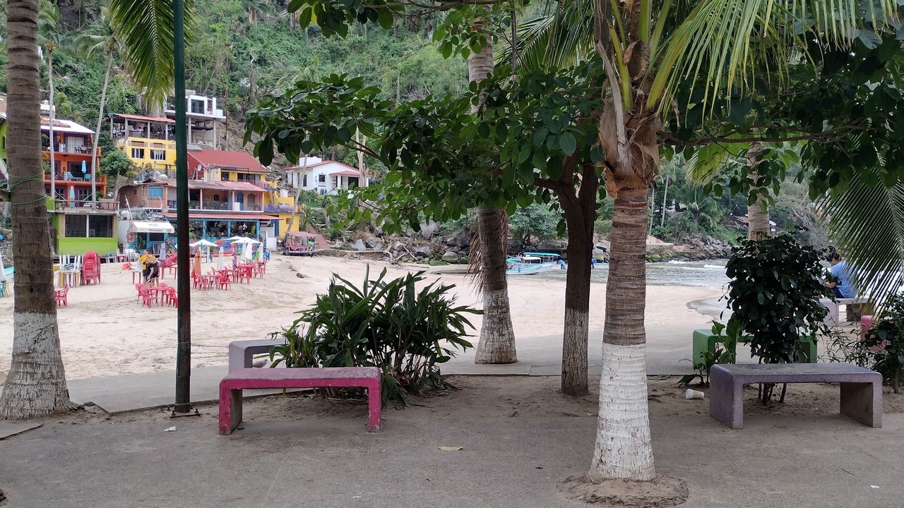 Photo of Others in Boca de Tomatlan
