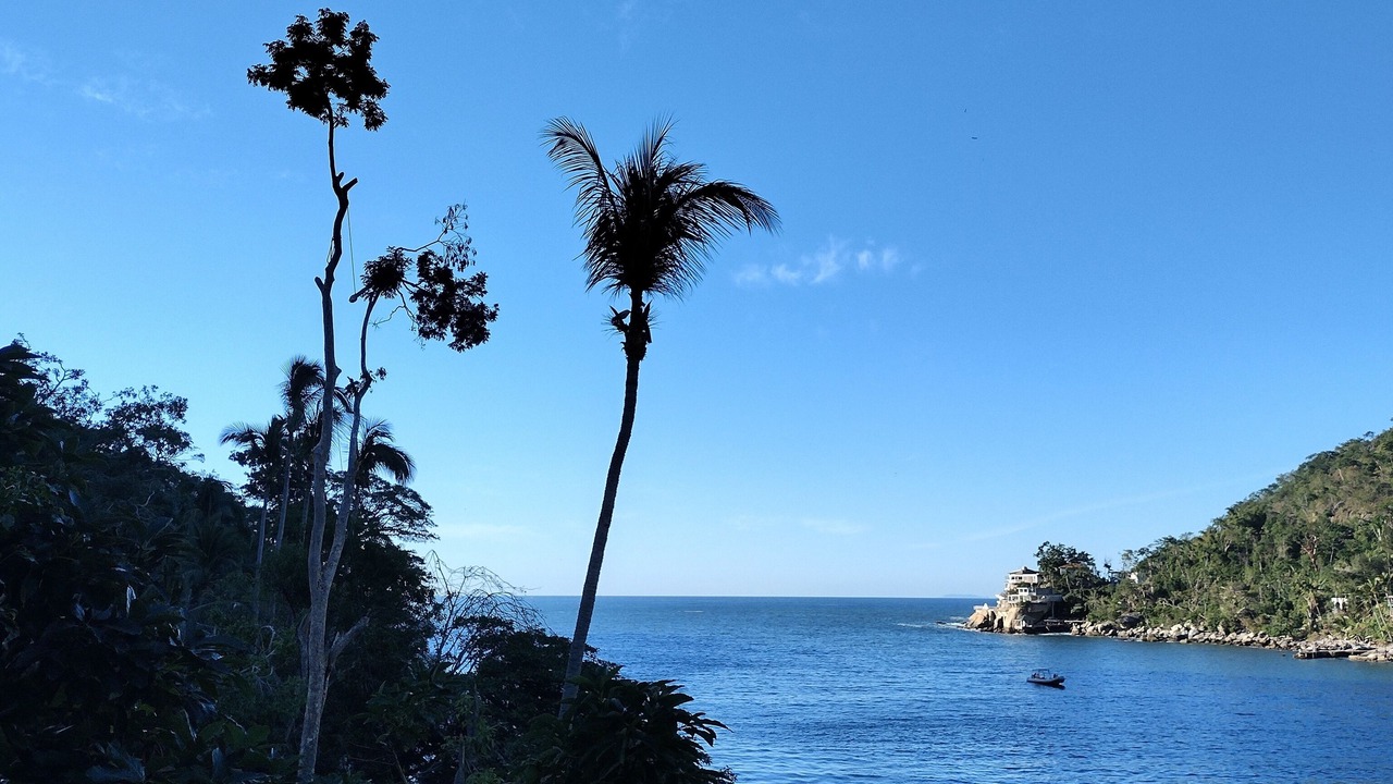 Photo of Others in Boca de Tomatlan